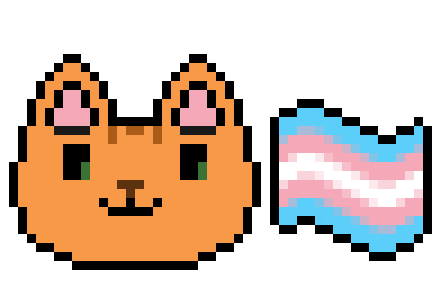Pixel art of an orange cat next to a transgender flag.